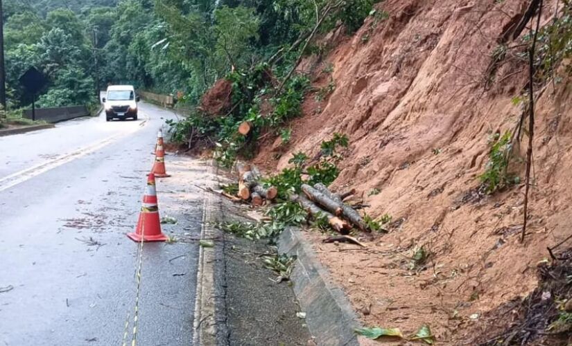 A queda de uma árvore e uma barreira complicaram o tráfego na rodovia Rio-Santos.