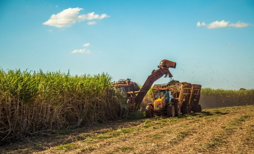 A balança comercial do agronegócio no Estado de São Paulo de janeiro a maio deste ano apresentou saldo positivo, com superávit de US$ 7,97 bilhões.