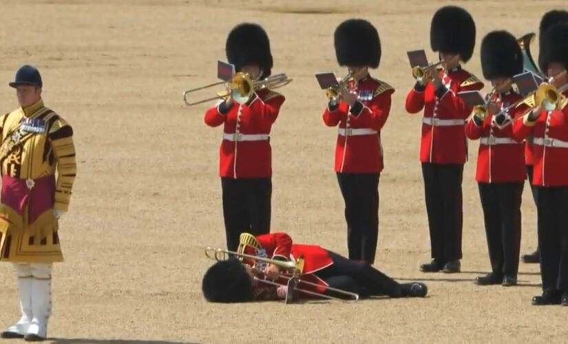 Guarda real desmaia em Londres