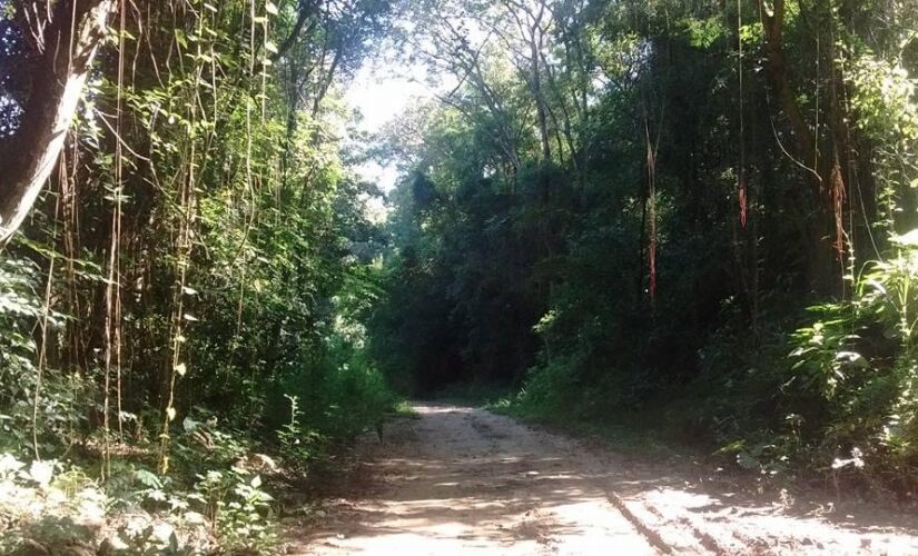 Avenida Marginal do Rio Tietê