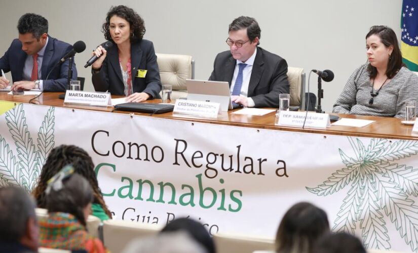 Para especialistas, o Brasil precisa de uma regulação da cannabis resposável, que não favoreça apenas à indústria, mas sim a saúde pública