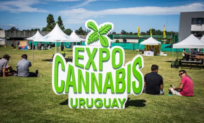 A feira ExpoCannabis, voltada aos negócios envolvendo a planta, terá sua primeira edição em São Paulo em setembro. 