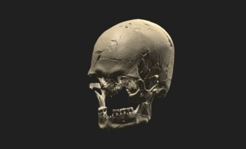 Renderização tridimensional a partir da tomografia do crânio do Luzio