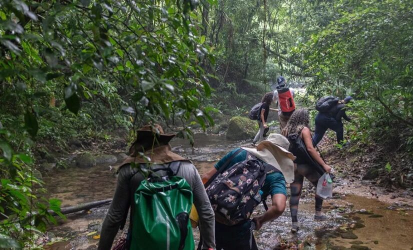 A iniciativa é promovida pela Coalizão Pró- Unidades de Conservação (UCs)