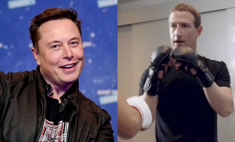 Elon Musk e Mark Zuckerberg cogitam lutar um contra o outro