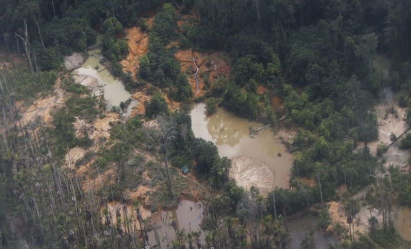 Terra Indígena Yanomami é o alvo de esquemas de contrabando