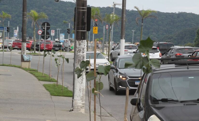 Além dos ipês, de todas as cores, e pau-brasil, a Cidade ganhou novas árvores floríferas e frutíferas como grumixameiras, aceroleiras, amoreiras, pitangueiras, quaresmeiras, patas-de-vaca e algodão-da-praia