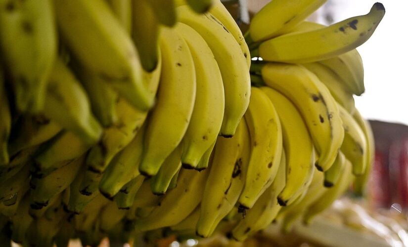 A produção paulista ajuda a manter o Brasil entre os principais produtores de banana do mundo