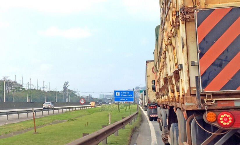 Carvalho conclui que a omissão é na verdade uma opção que privilegia interesses econômicos em detrimento ao bem-estar dos cidadãos