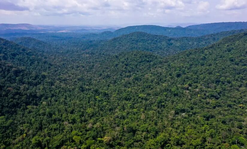 Apesar dos avanços realizados em 2023, como a redução de 22% do desmatamento da Amazônia, "o país enfrenta desafios imensos em áreas como transição energética e agricultura"