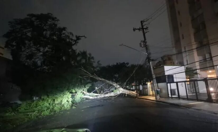 Chuva derrubou cerca de 100 árvores na Capital. Na foto, ocorrência na Rua Dom Armando Lombardi, na região da Capela do Socorro, Zona Sul de São Paulo