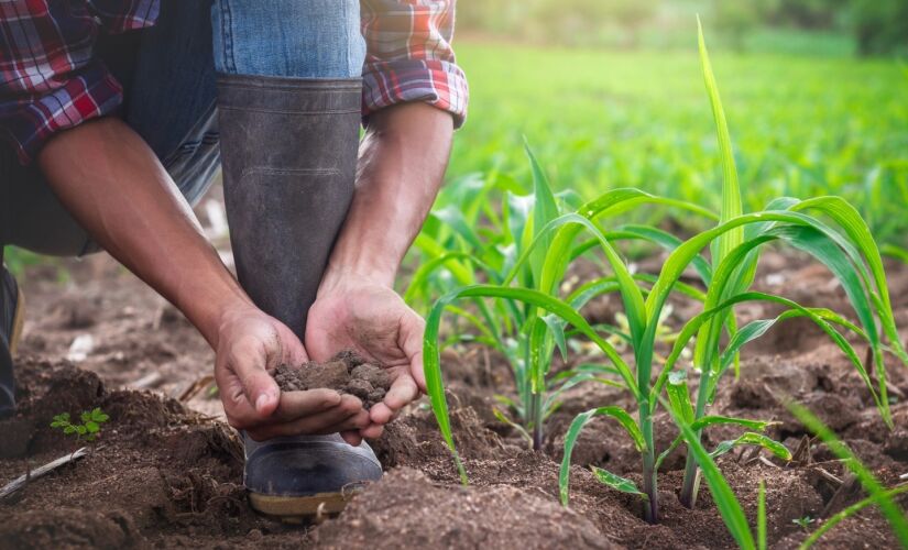 O Programa Solo + Fértil tem como objetivo promover a utilização da calagem e adubação nas Unidades de Produção Agropecuária de São Paulo