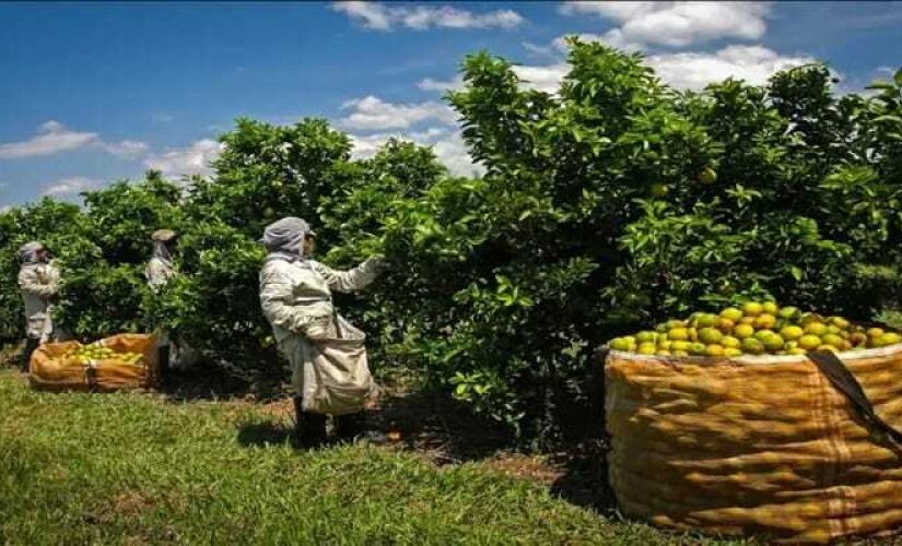 A ação é um desdobramento das fiscalizações realizadas no município de Herculândia entre os dias 08 e 10 de novembro