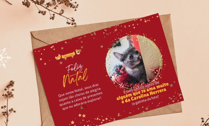 Chamada Natal na Confraria, a ação oferece um cartão de Natal virtual para apadrinhar os gatos que são cuidados pela ONG