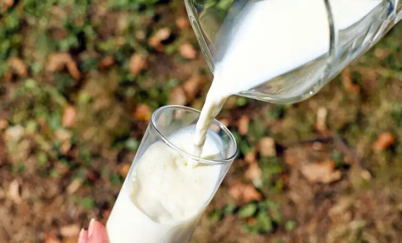 Há seis meses o preço do leite cai sem parar na porteira da fazenda