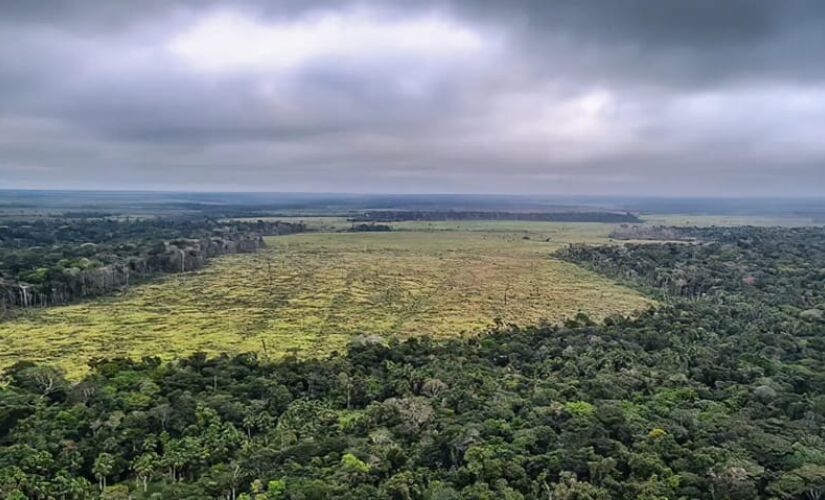 No acumulado de janeiro a novembro, o desmatamento teve redução de 62%, passando de 10.286 km&#xB2; em 2022 para 3.922 km&#xB2;