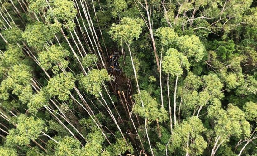 Helicóptero desaparecido é localizado em área de mata em Paraibuna