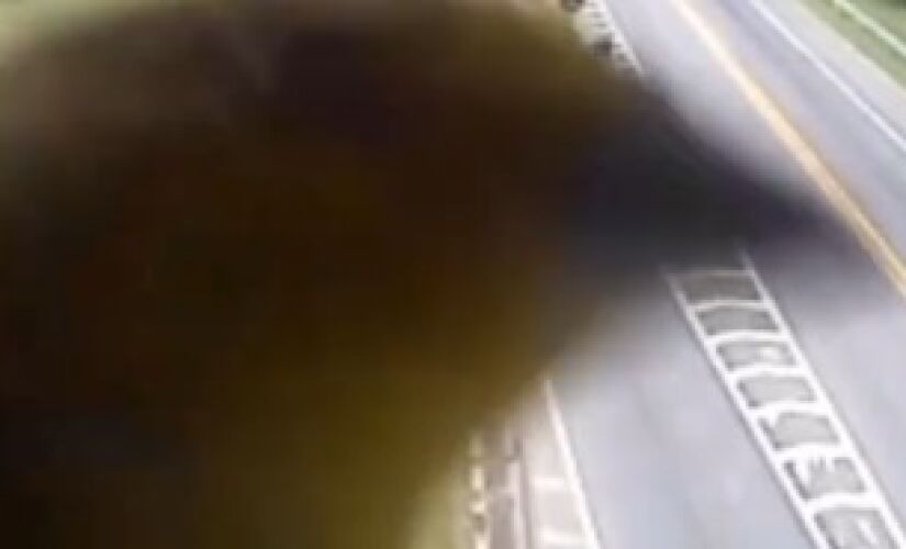 Passarinho aparece em vídeo de câmera