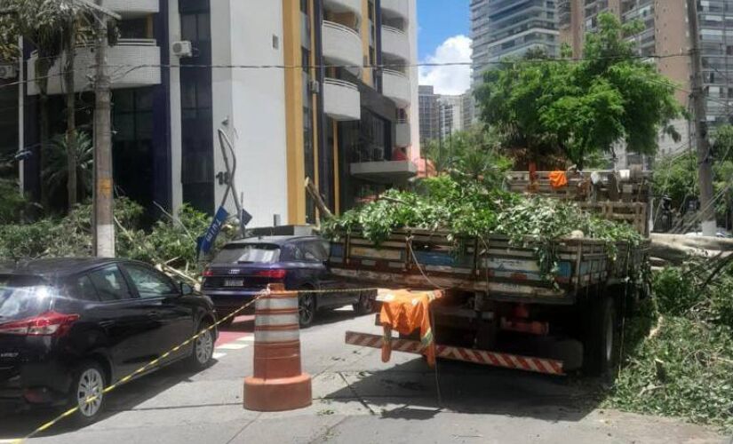 As  fortes chuvas derrubaram uma árvore em cima da fiação elétrica da avenida Juriti e da rua Tuim