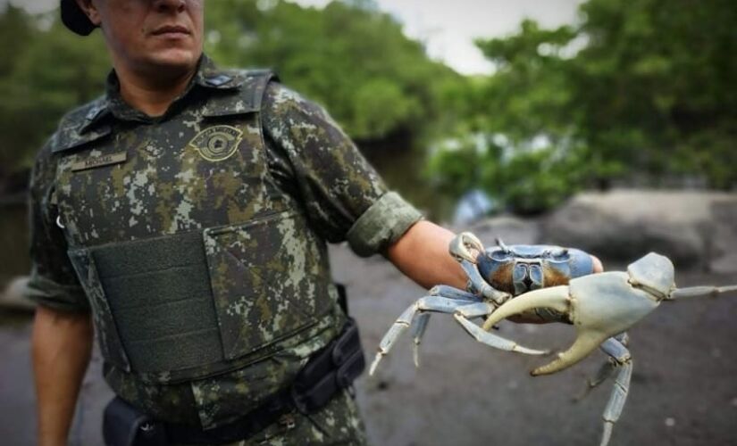 De janeiro a dezembro do ano passado, foram realizadas 85,4 mil intervenções policiais, que resultaram em 18,2 mil autos de infração