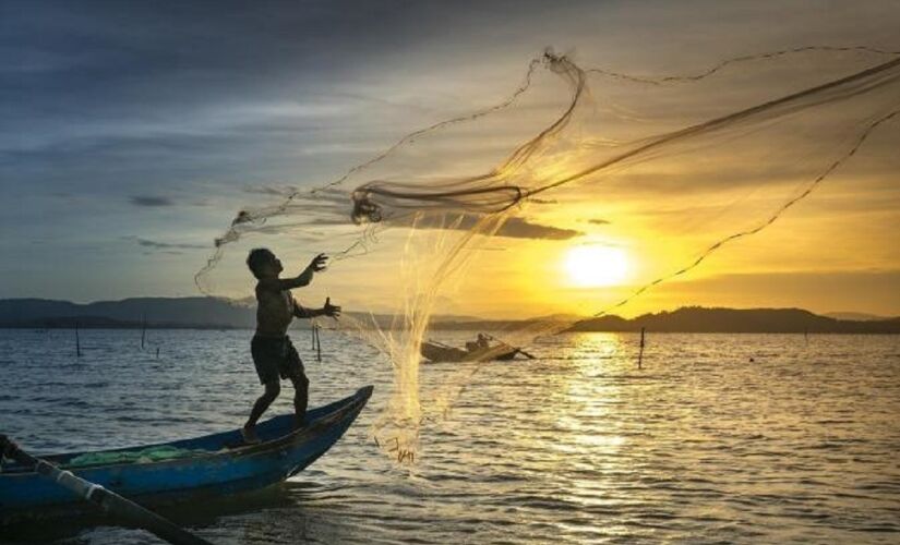 A Licença para Pesca Amadora ou Esportiva é um documento emitido pelo Ministério da Pesca e Aquicultura (MPA) e tem validade de 1 ano em todo o território nacional