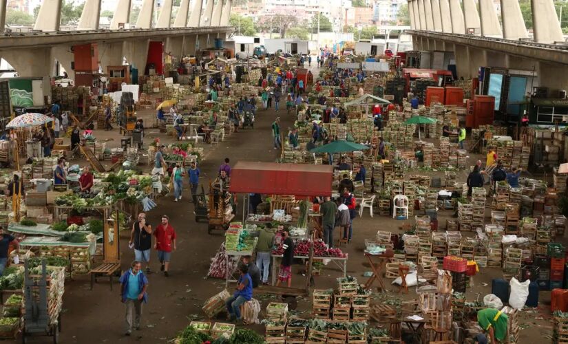 Em dezembro, os valores dos hortifrúti haviam subido 5,09% nas centrais atacadistas do Estado de São Paulo. Com o resultado de janeiro, o índice encerrou o período de 12 meses com um acumulado de 21,90%