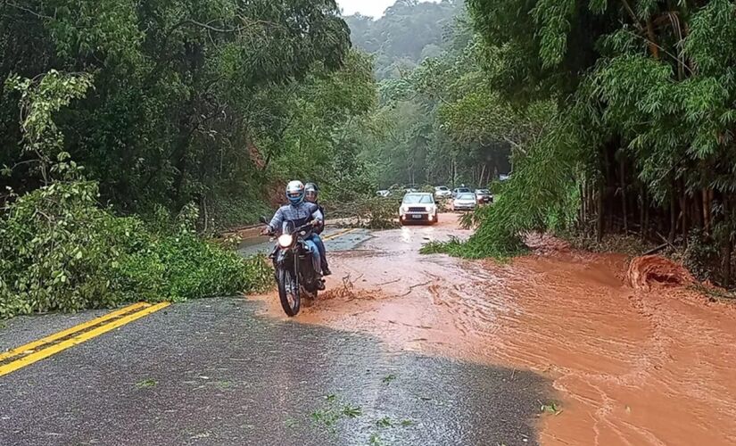 Rodovia Oswaldo Cruz, em foto de arquivo