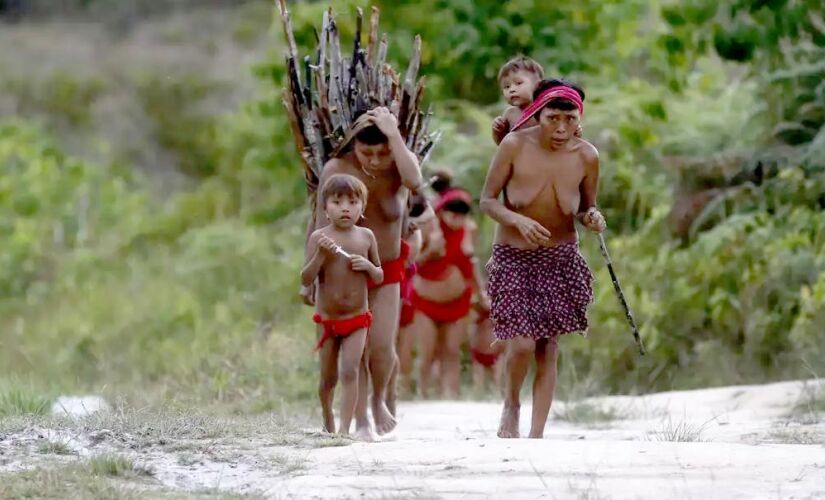 Terra Yanomami; Congresso analisa crédito de R$ 1 bi para proteção dos povos indígenas