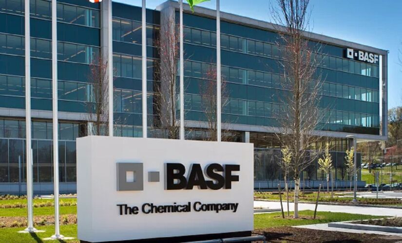 Basf iniciou o processo seletivo com mais de 300 oportunidades de estágio