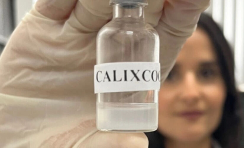 Uma equipe de cientistas brasileiros busca com a Calixcoca inibir os impactos da cocaína e combater a dependência