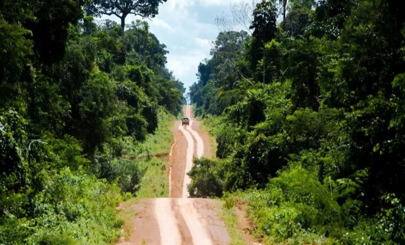 Degradação na Amazônia já atinge área 3x maior do que desmatamento