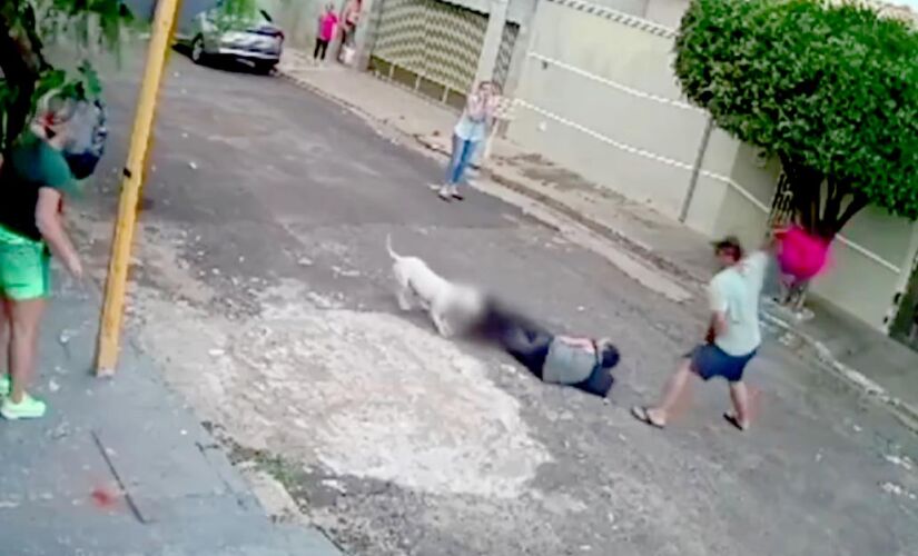 Idosa e cachorro de estimação são atacados por pit bull no interior de SP