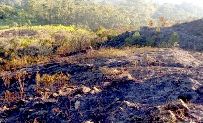 Queda de balão pode ter causado fogo no Parque do Jaraguá