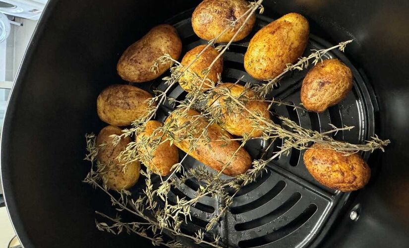 Primeiros modelos de air fryer no Brasil chegaram em 2011