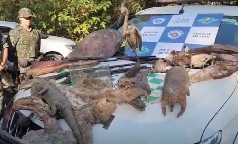 Polícia Militar Ambiental encontra animais empalhados