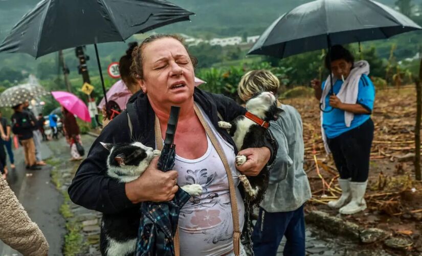 Chuvas causam sofrimento e destruição no Sul do Brasil