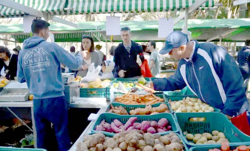 Como surgiu as primeiras feiras em SP?