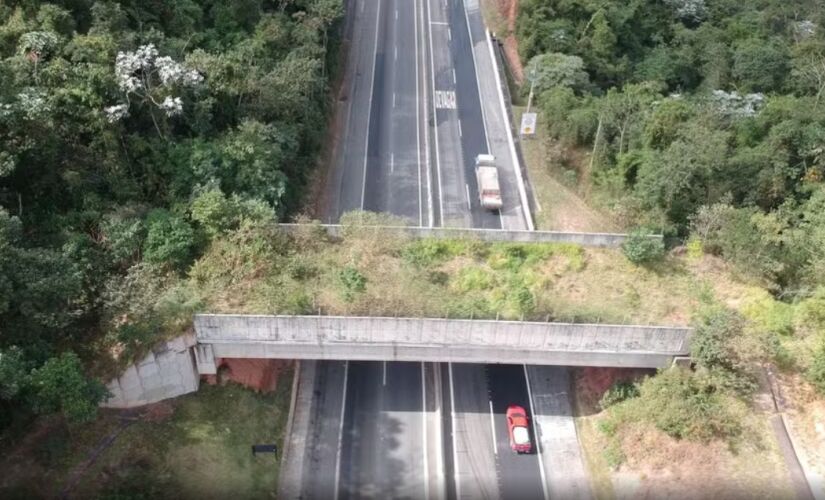 Novo pedágio da rodovia dos Tamoios tem valor inicial de R$ 4,80