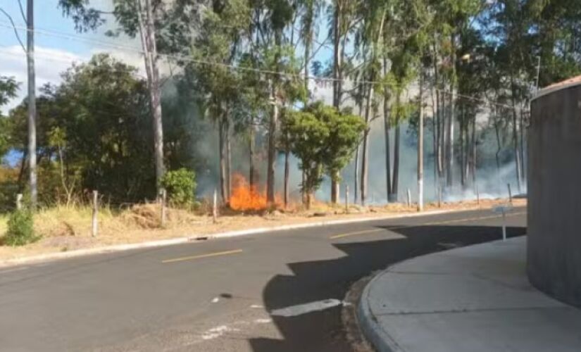  Homem provoca incêndio proposital em mata no interior de São Paulo