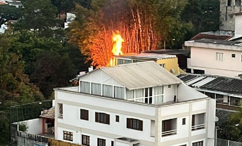 Incêndio atinge bambuzal em SP