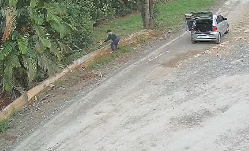 Mulher arremessou filhotes de cachorro e abandonou os animais em uma estrada em Itapetininga