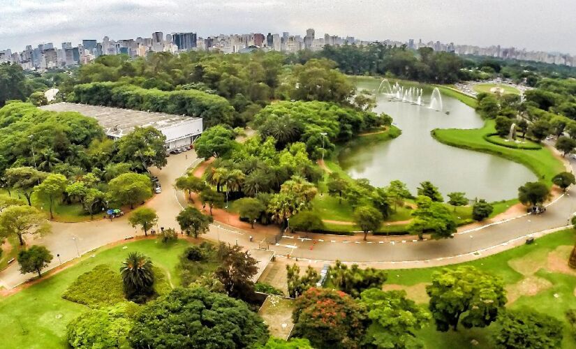 3° edição do concurso de fotografia do Parque Ibirapuera acontece até o fim do mês de julho