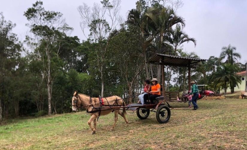 Passeio de charrete no The Roça Park