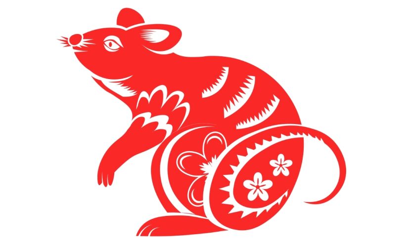 Rato: conheça as características desse signo no horóscopo chinês