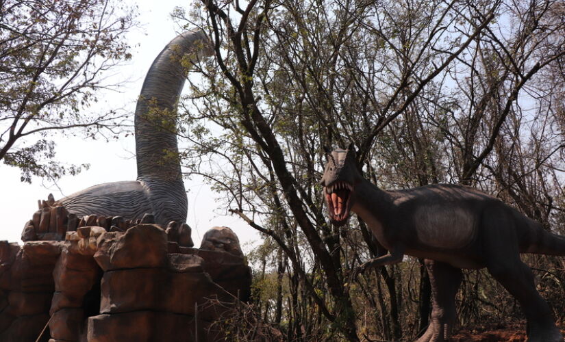 O parque está localizado no município de Salto, em São Paulo