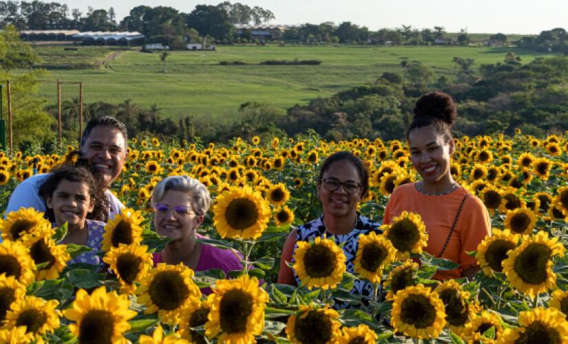 Holambra vai promover a 41ª edição da Expoflora entre 30 de agosto a 29 de setembro