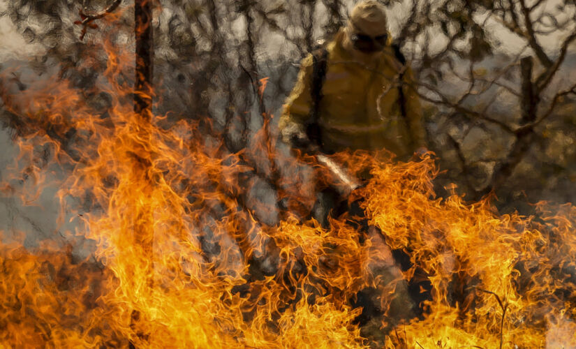 Avanço das queimadas pode aumentar em 6 °C a temperatura do Brasil