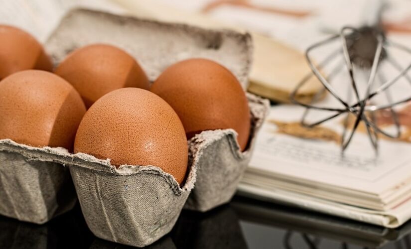 O consumo moderado de ovos, quando inserido em uma dieta equilibrada e combinado com atividade física regular, é seguro 