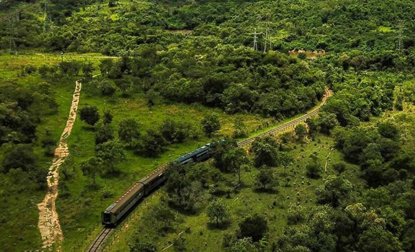 Durante o caminho, os passageiros do Trem Republicano ouvem histórias e curiosidades dos locais, além de poderem apreciar a paisagem