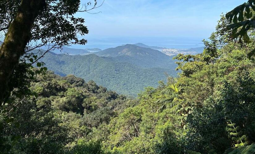 A cidade de Ubatuba pretende flexibilizar as regras ambiental para construção de moradias de interesse social